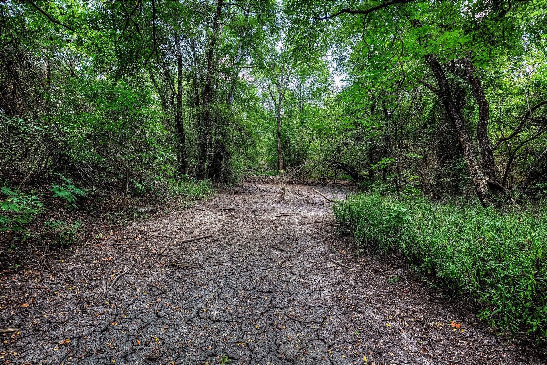 22 acres in Hunt County - photo 36