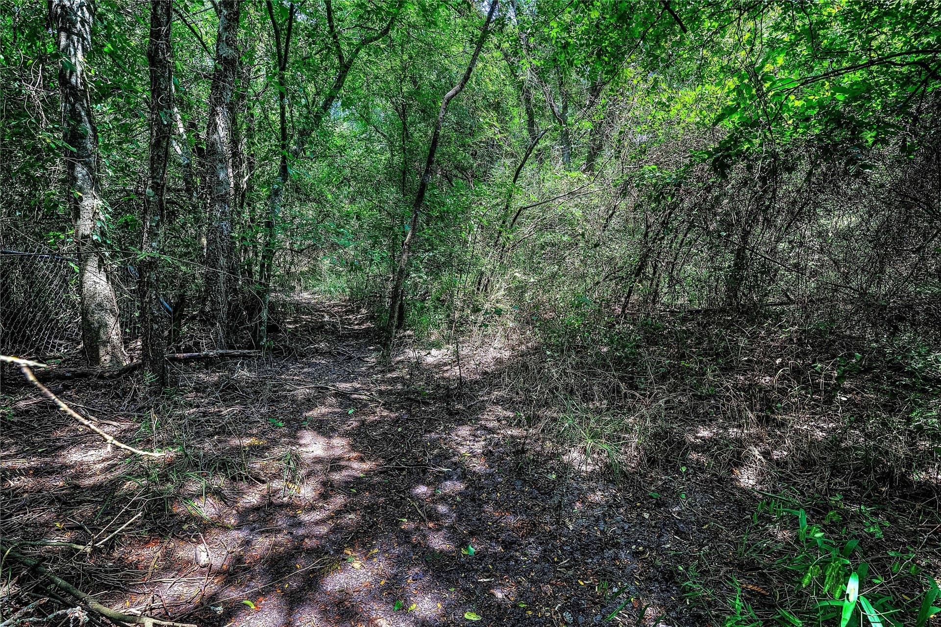 22 acres in Hunt County - photo 5