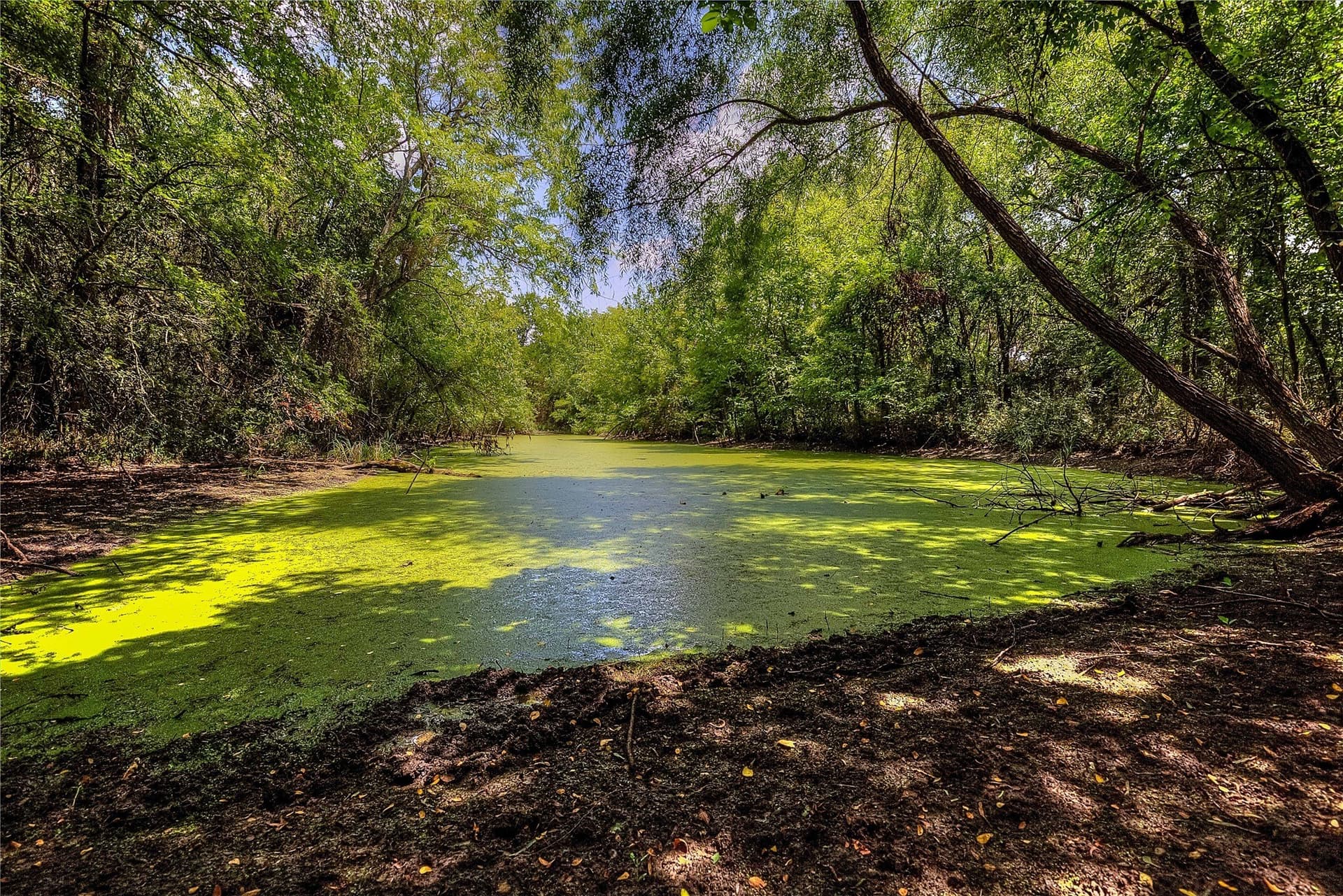 22 acres in Hunt County - photo 7