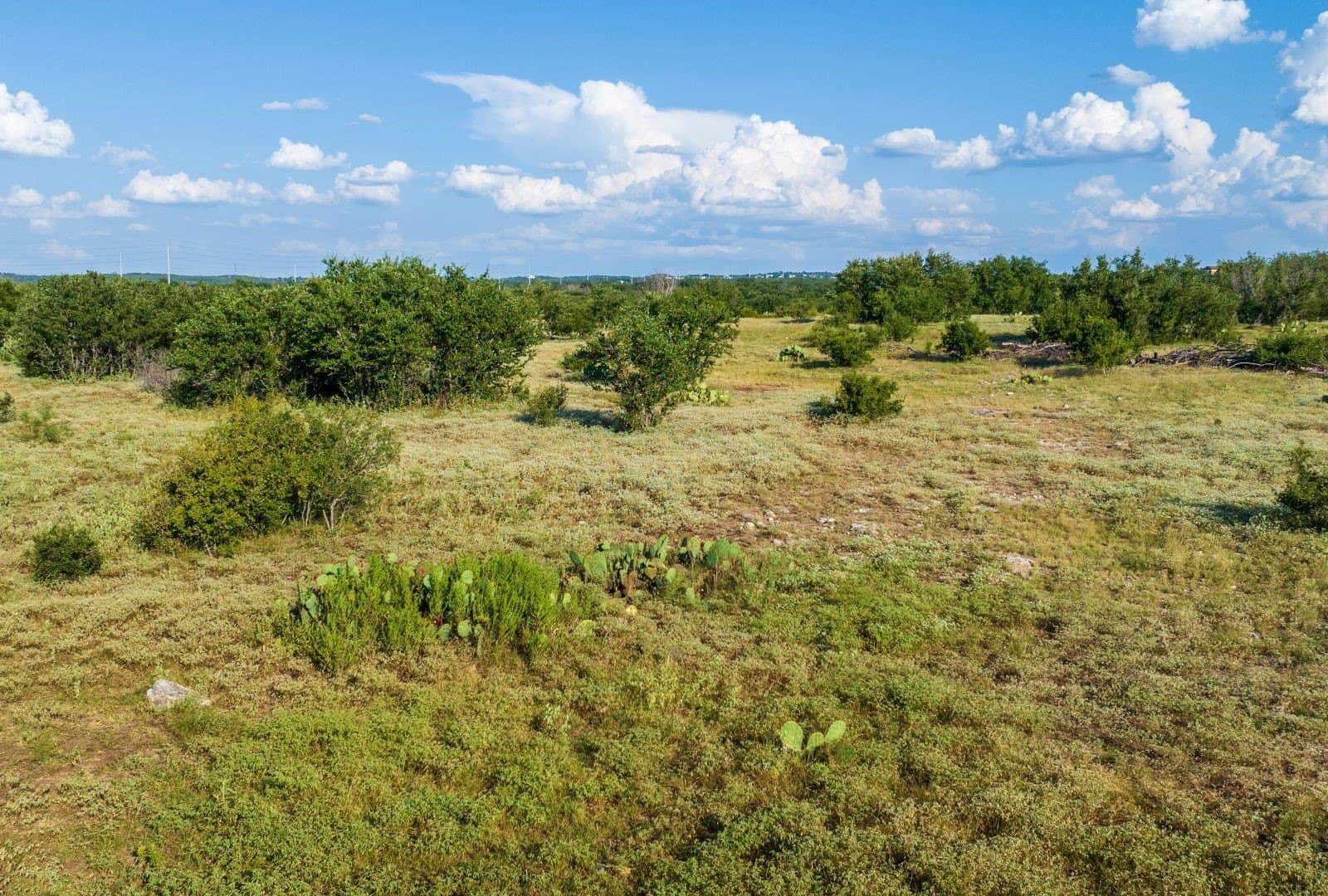 22 acres in Travis County - photo 8