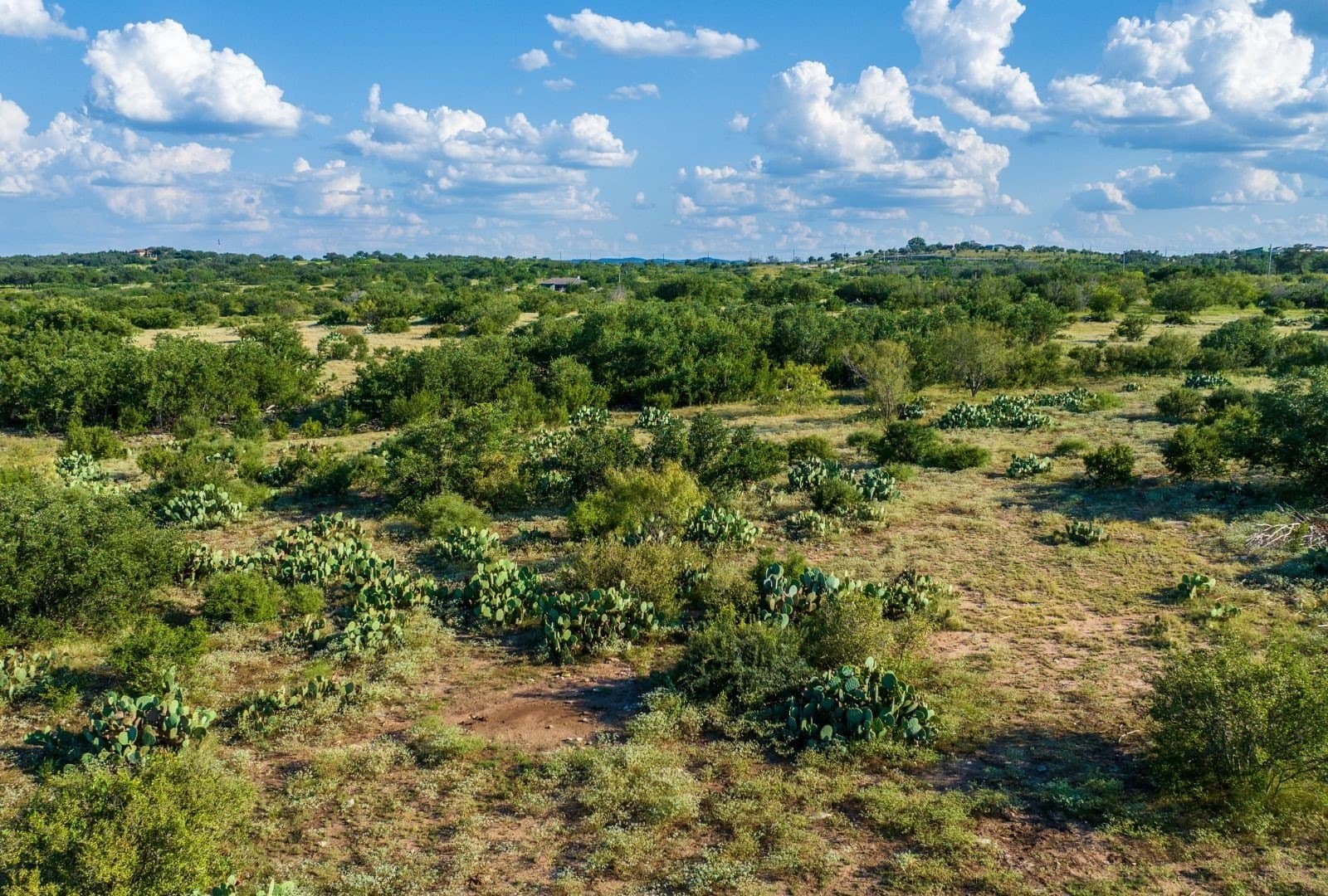 22 acres in Travis County - photo 6