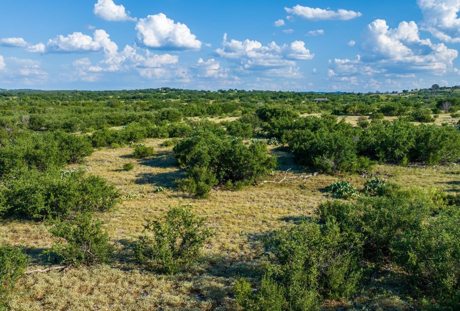 22 acres in Travis County - photo 7
