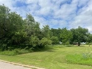 0.14 acres in Hill County - photo 2