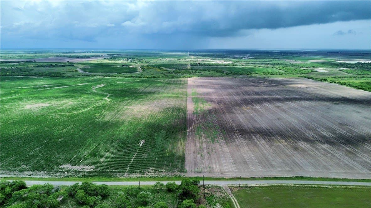 176 acres in Kleberg County gallery image 3