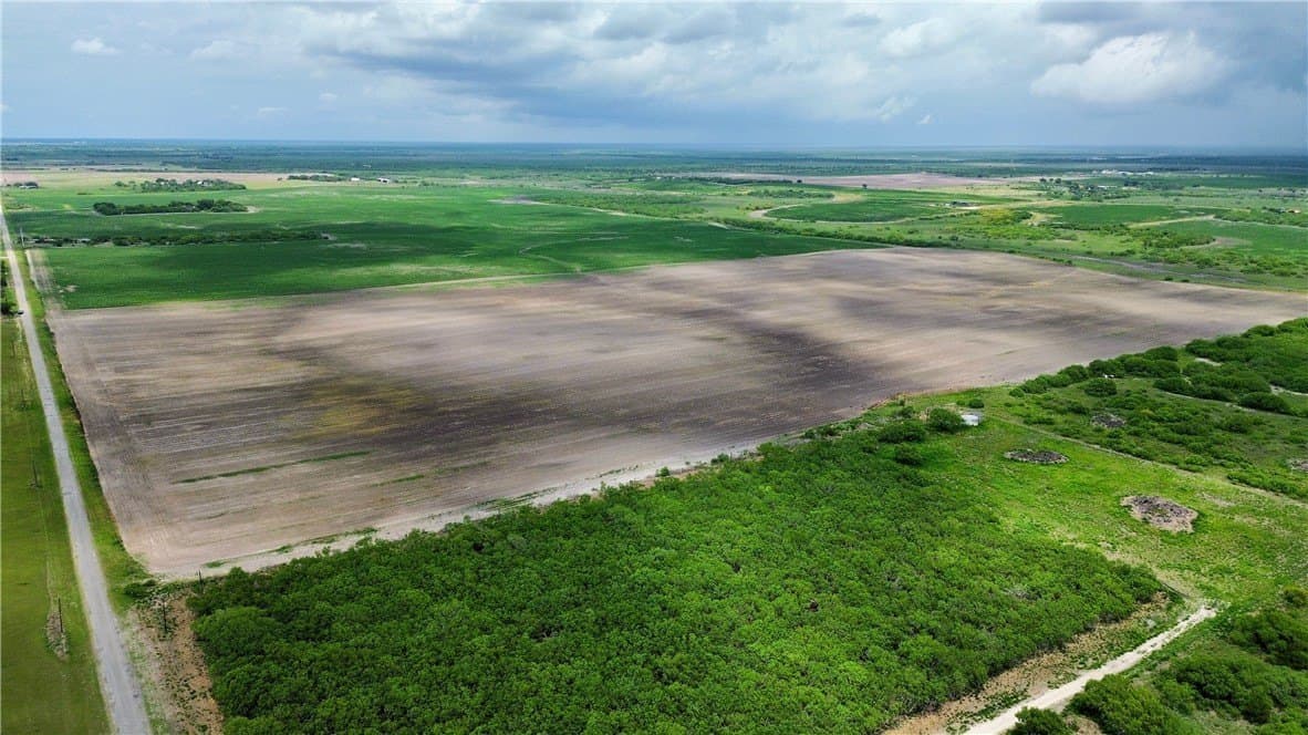 176 acres in Kleberg County gallery image 4