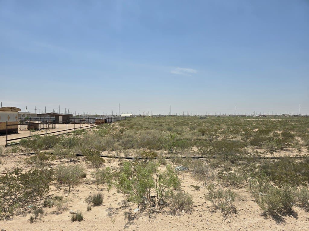 10.01 acres in Ector County gallery image 4