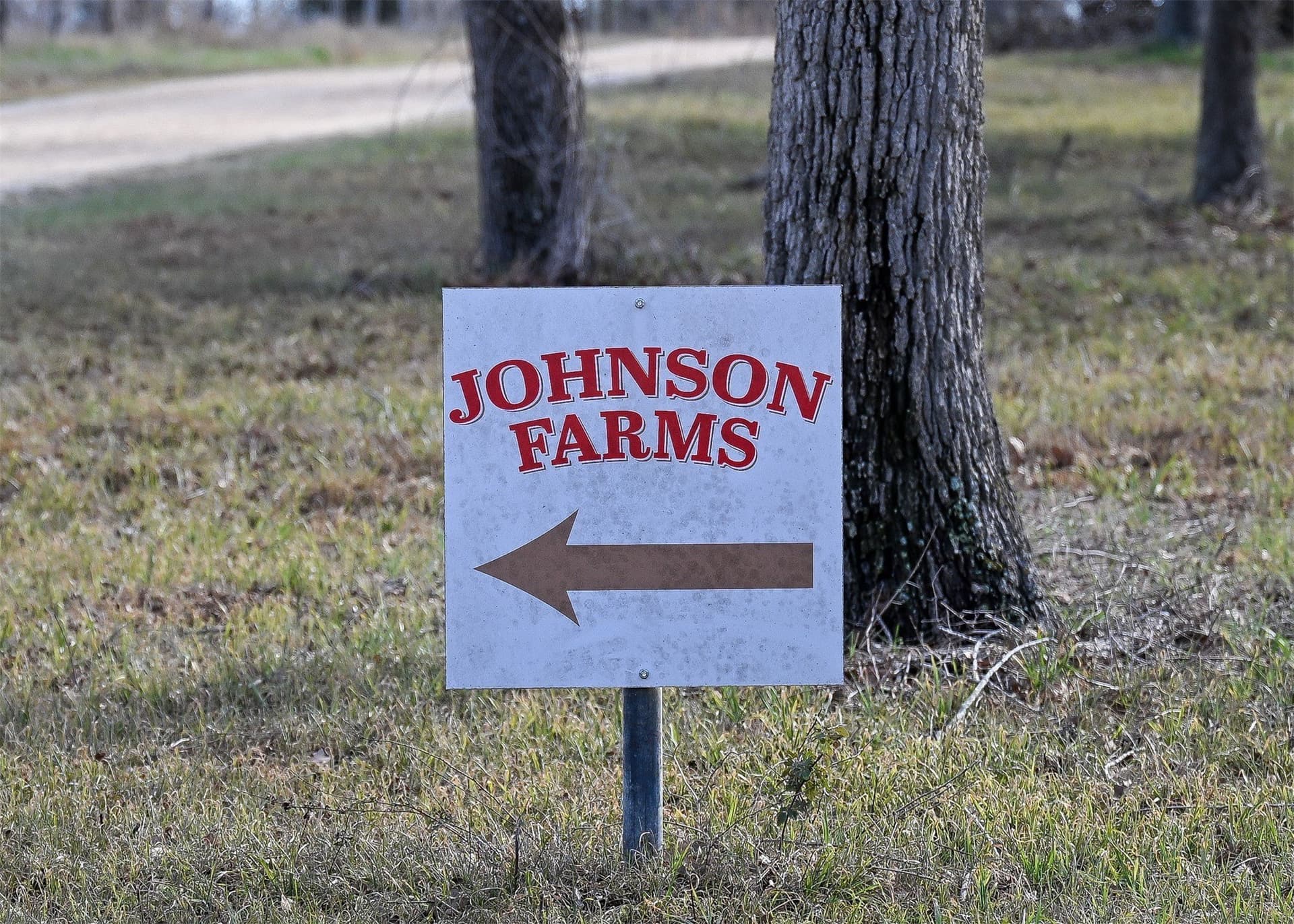 6.65 acres in Gonzales County - photo 19