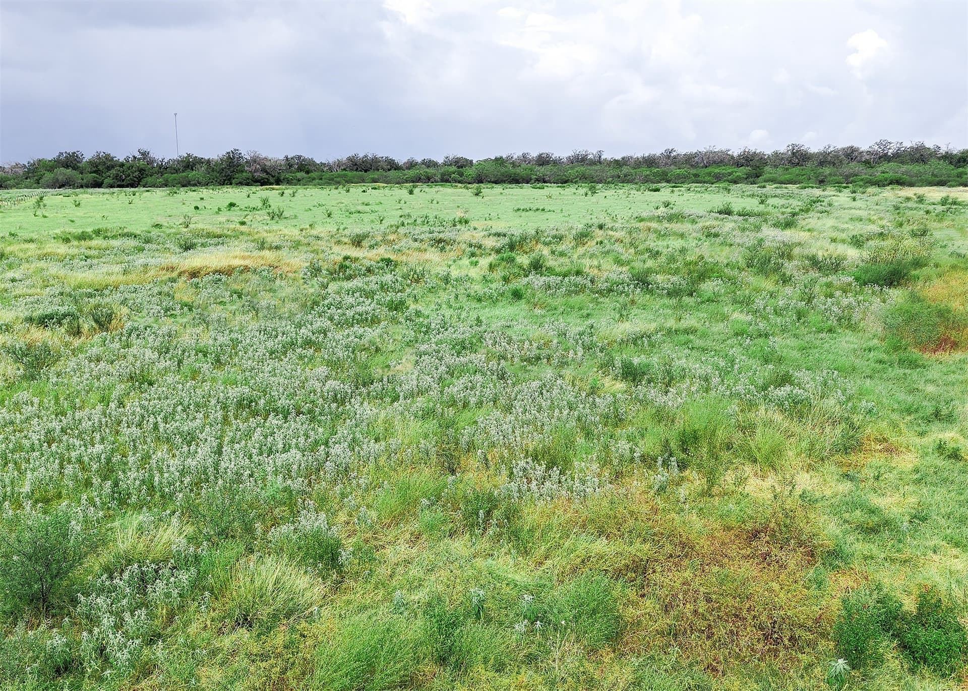 6.65 acres in Gonzales County - photo 3