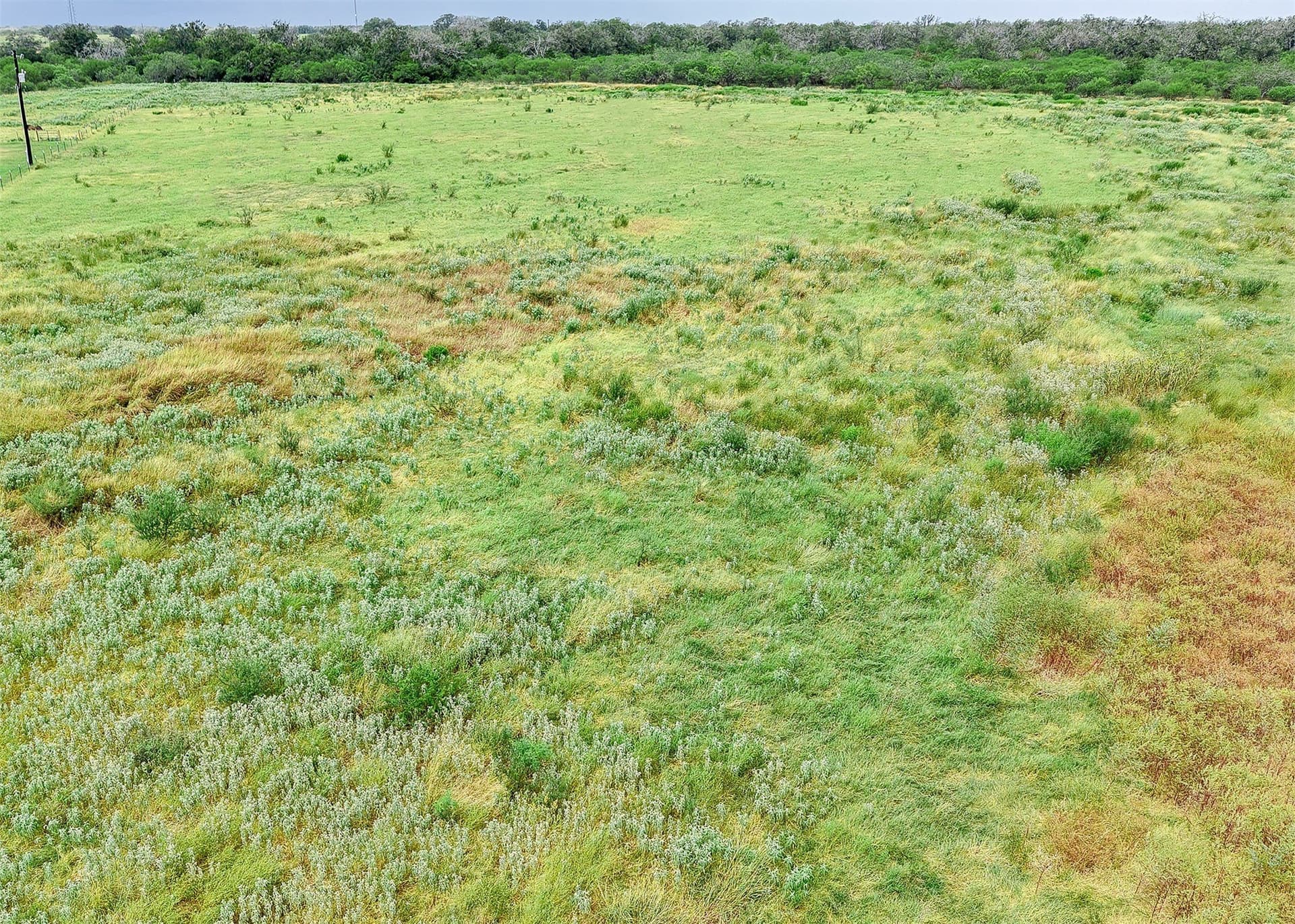 6.65 acres in Gonzales County - photo 2