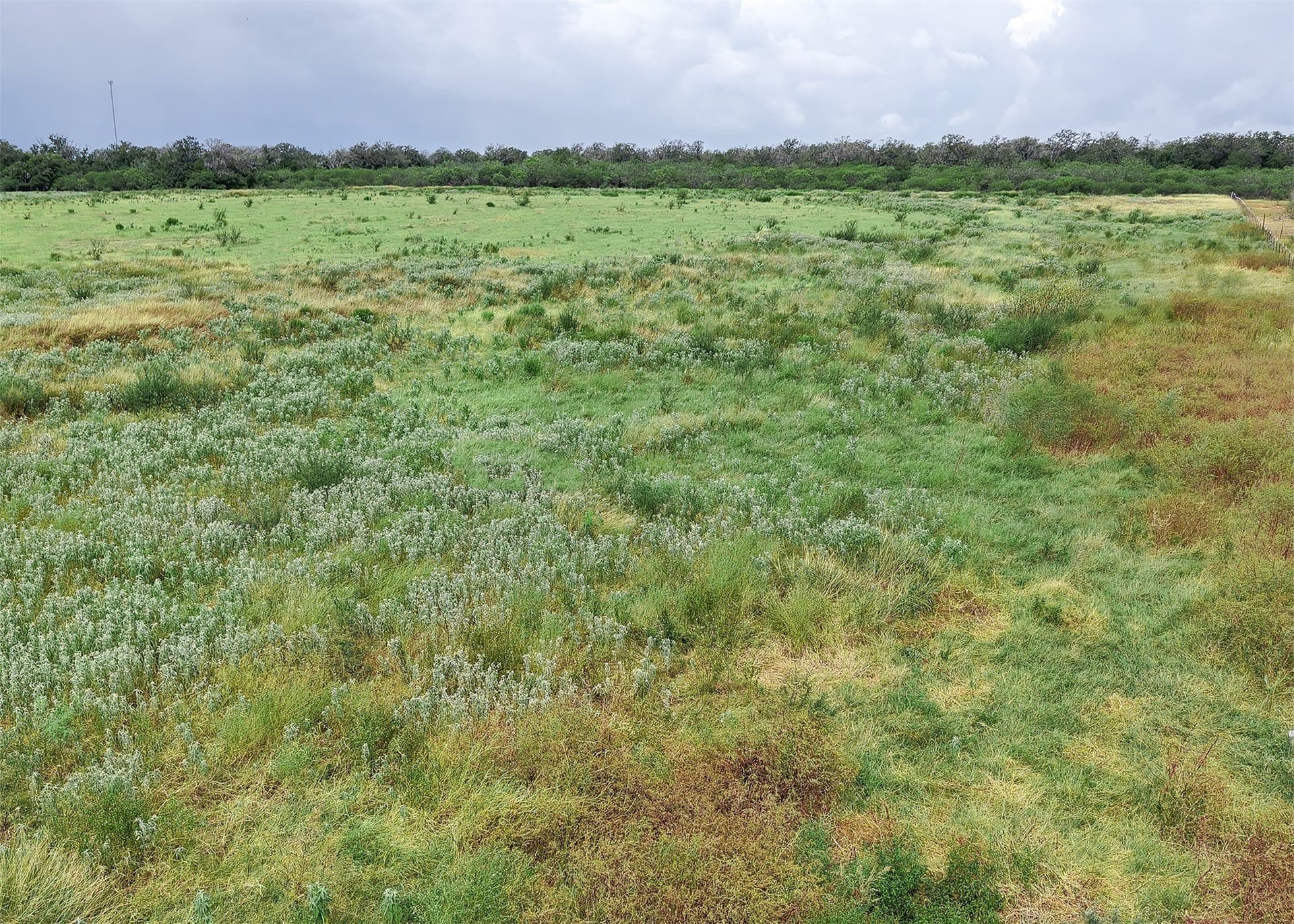 6.65 acres in Gonzales County - photo 4