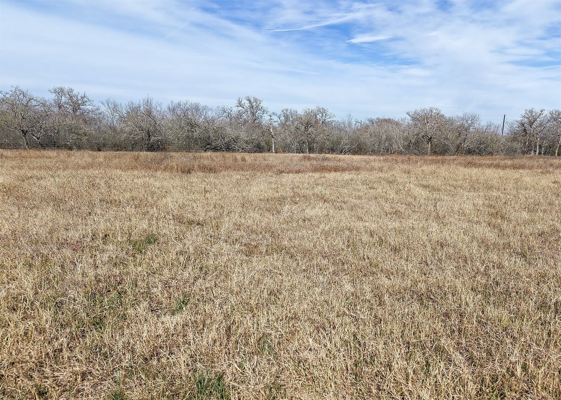 6.65 acres in Gonzales County gallery image 3