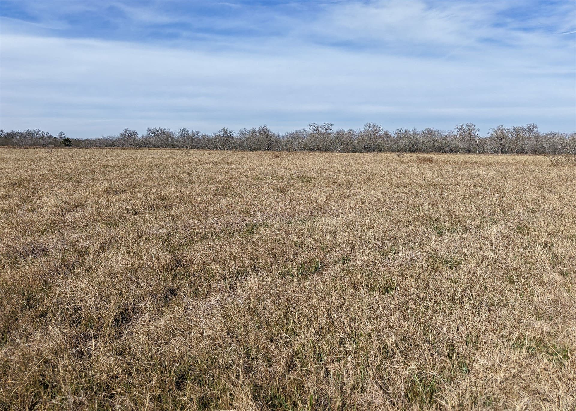 6.65 acres in Gonzales County - photo 12