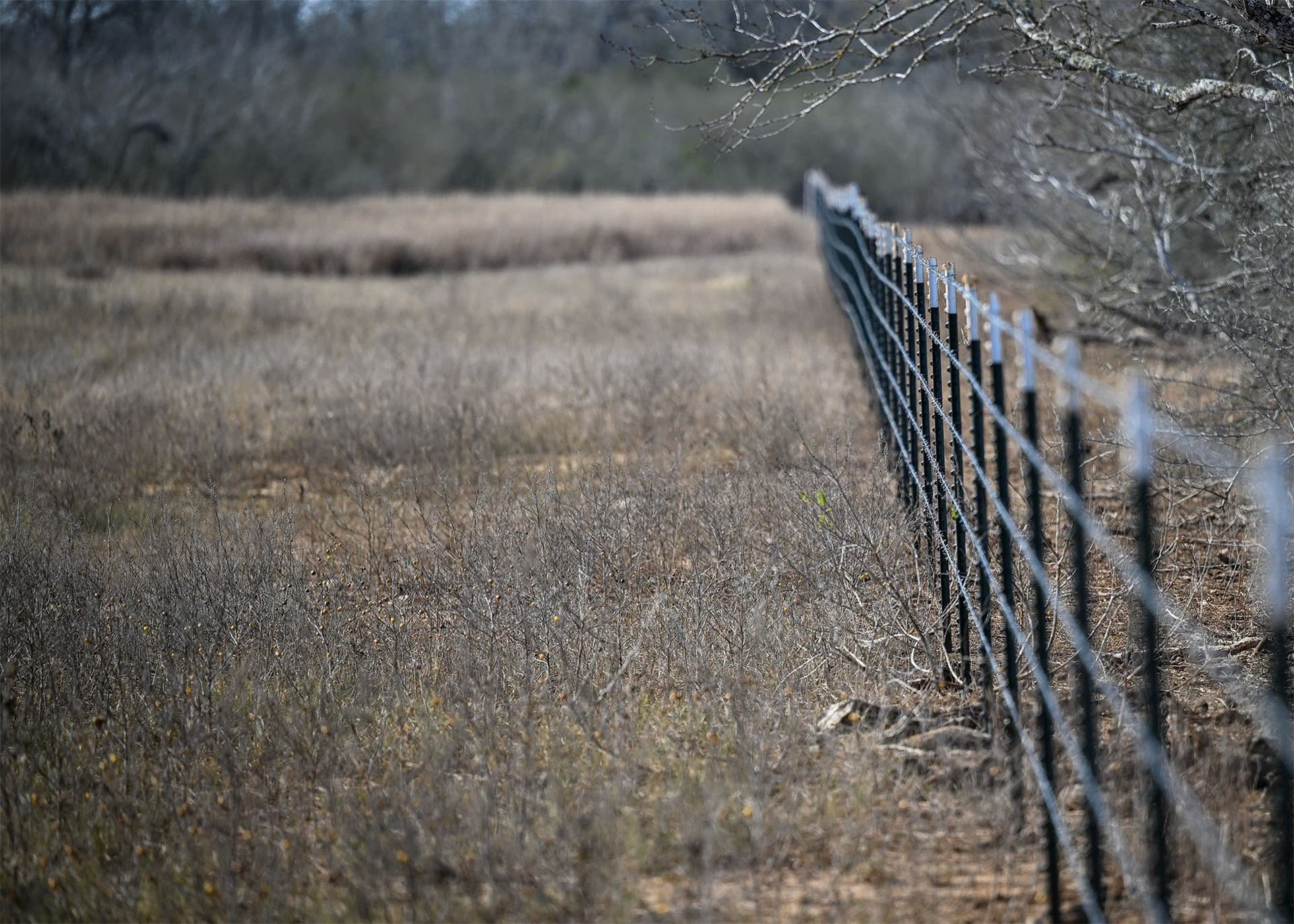 6.65 acres in Gonzales County - photo 16