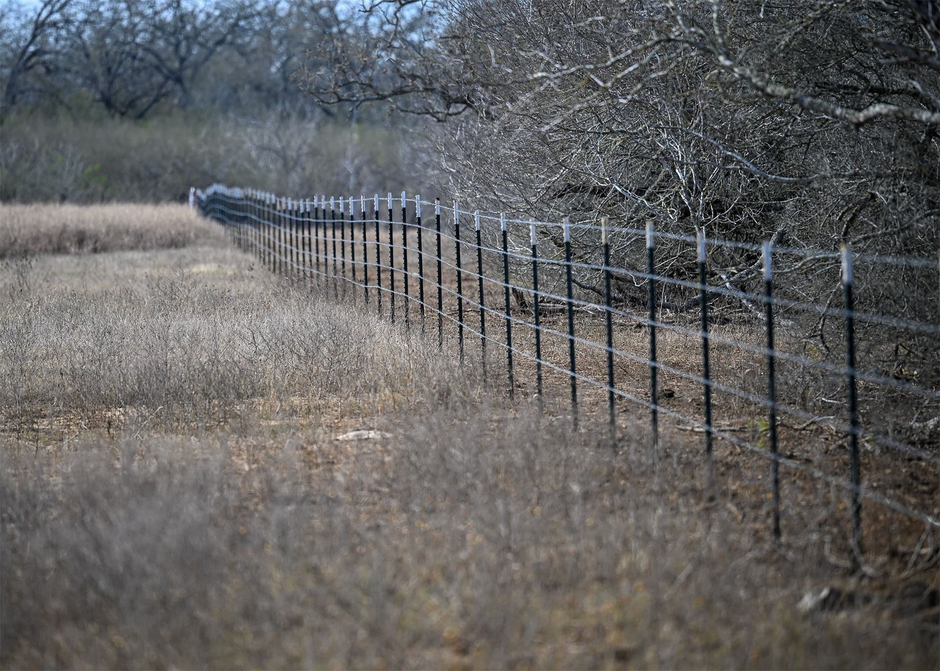 6.65 acres in Gonzales County - photo 17