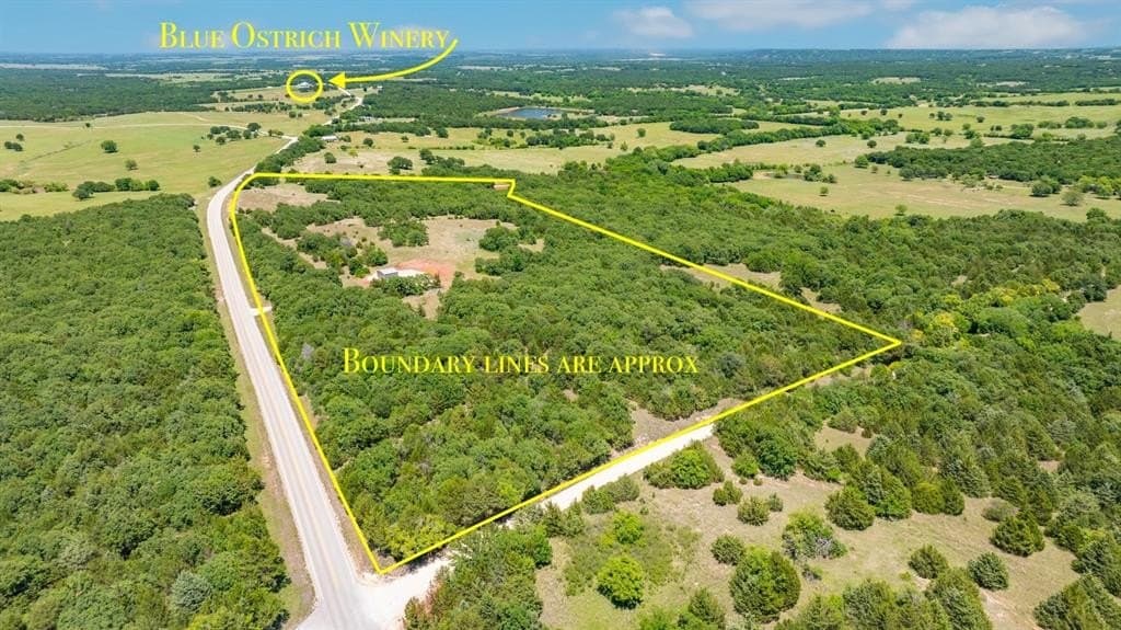 35.64 acres in Cooke County gallery image 4