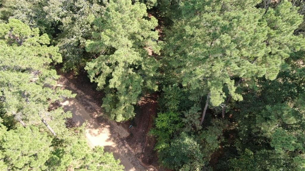 152.39 acres in Nacogdoches County featured view