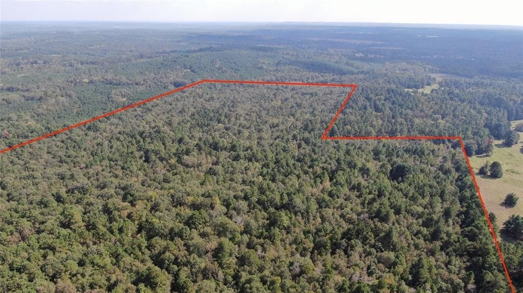 152.39 acres in Nacogdoches County gallery image 2