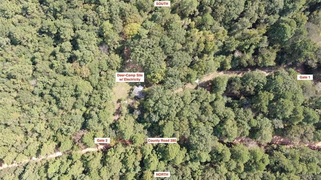 152.39 acres in Nacogdoches County gallery image 4