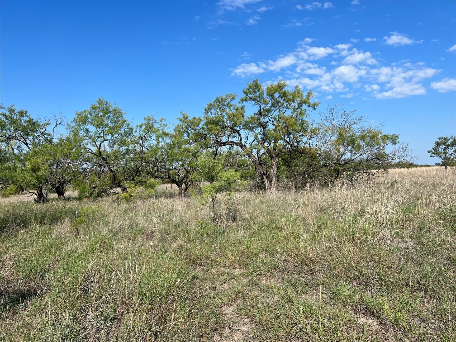14.38 acres in Hamilton County - photo 8