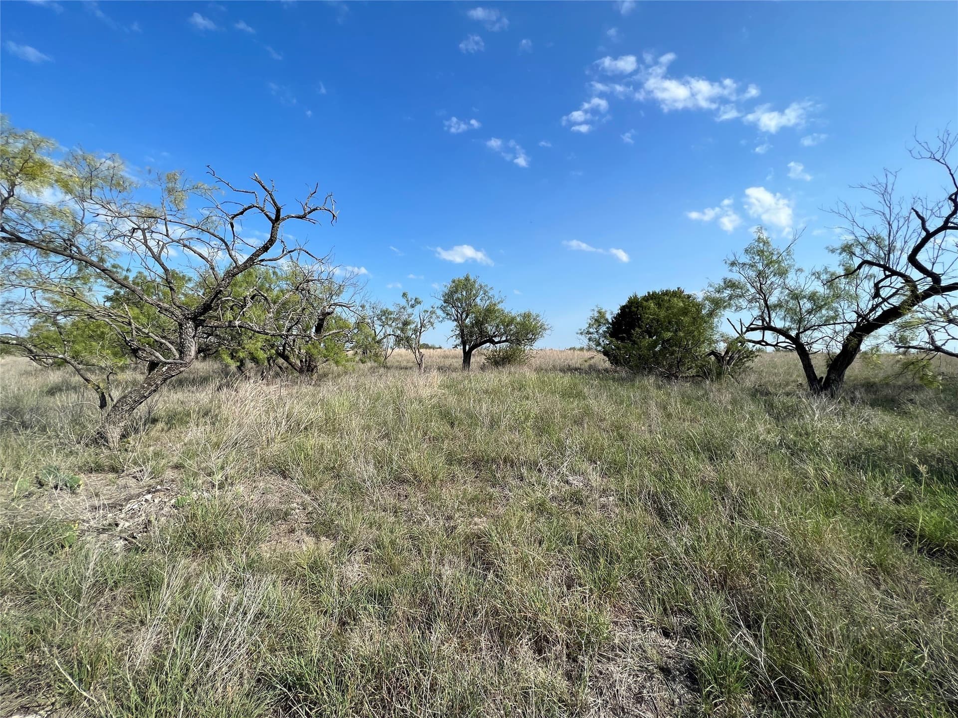 14.38 acres in Hamilton County - photo 11