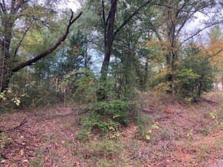 0.12 acres in Henderson County gallery image 3