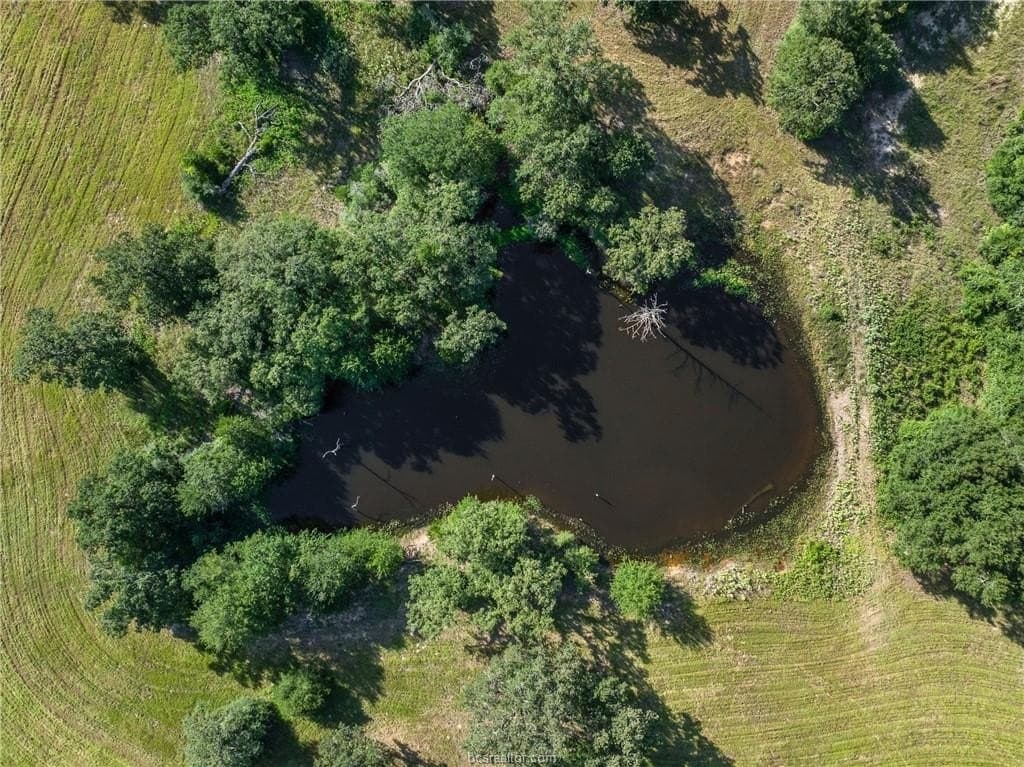 173 acres in Burleson County - photo 40