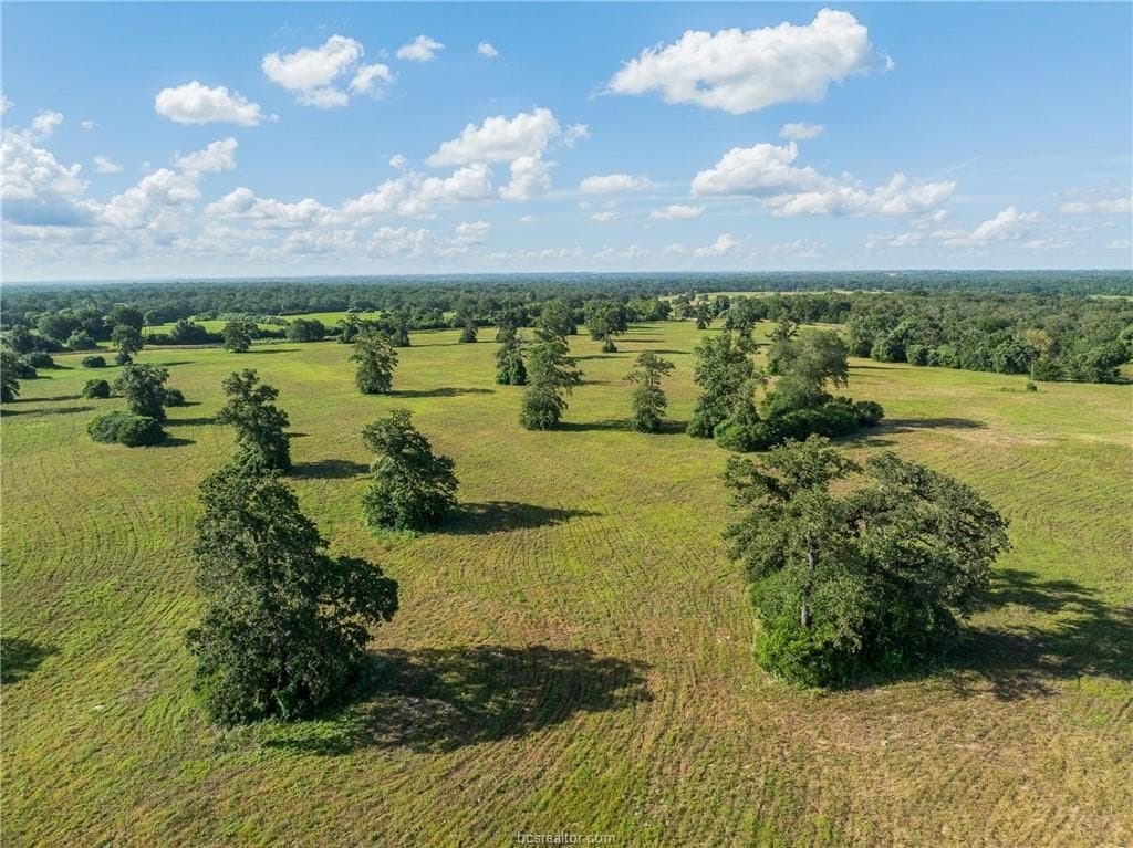 173 acres in Burleson County - photo 47