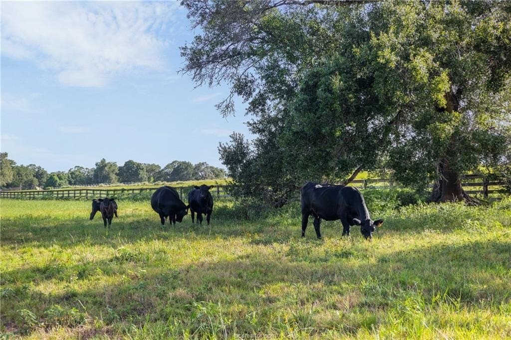 173 acres in Burleson County - photo 38