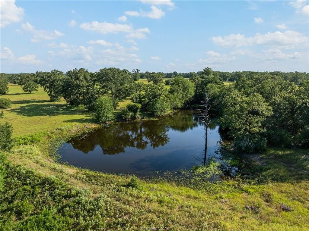 173 acres in Burleson County - photo 43