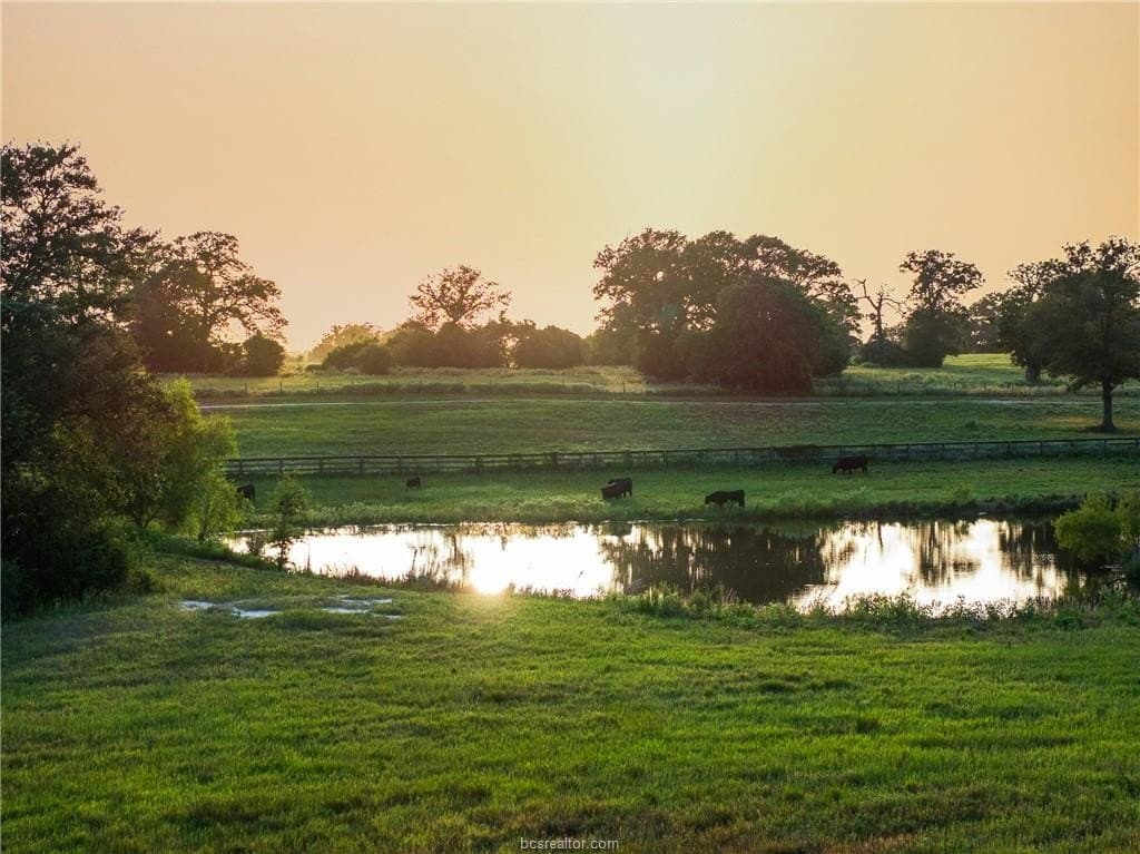 173 acres in Burleson County - photo 41