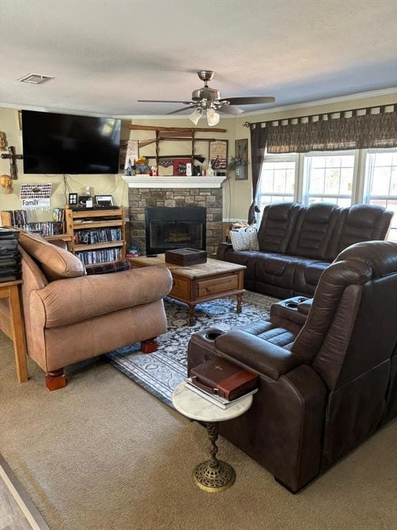 11 acres in Fannin County gallery image 3