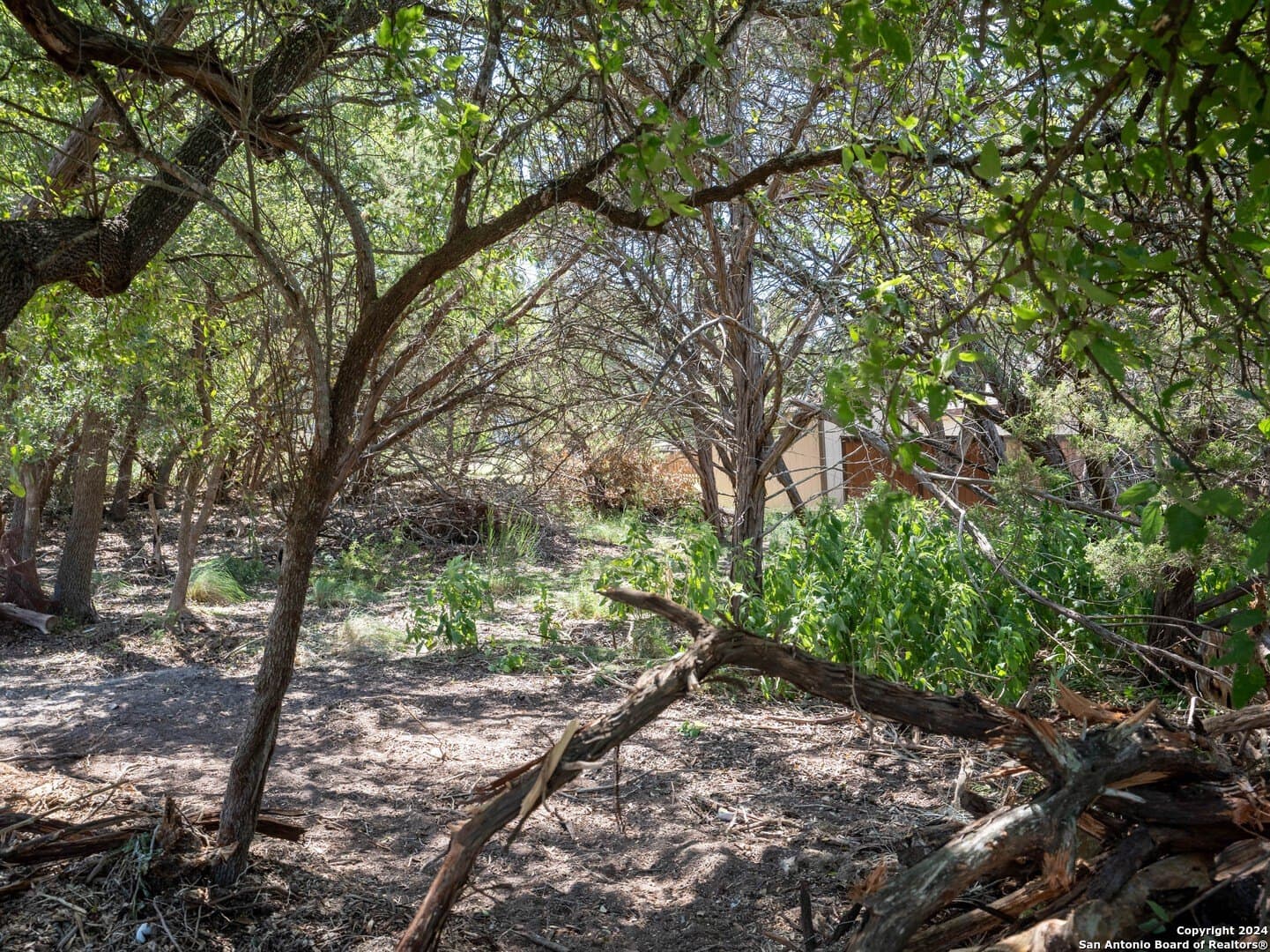 0.19 acres in Comal County - photo 5