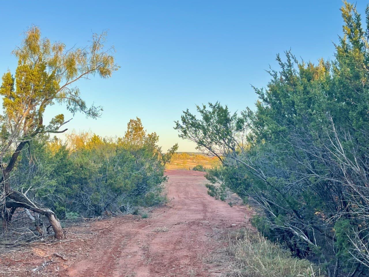 1.47 acres in Taylor County - photo 9