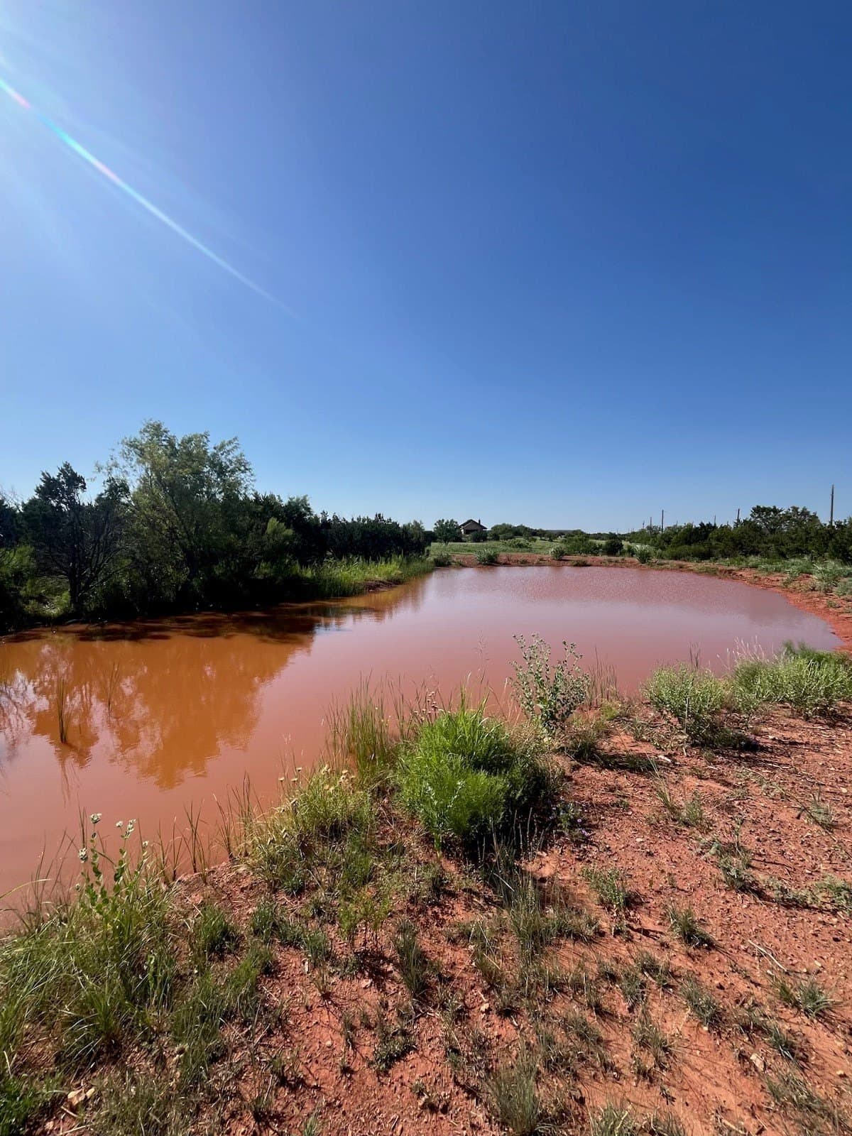 1.47 acres in Taylor County - photo 8