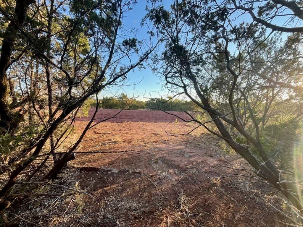 1.47 acres in Taylor County - photo 6