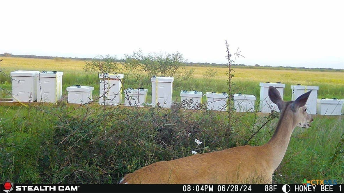 20.49 acres in Jackson County - photo 2
