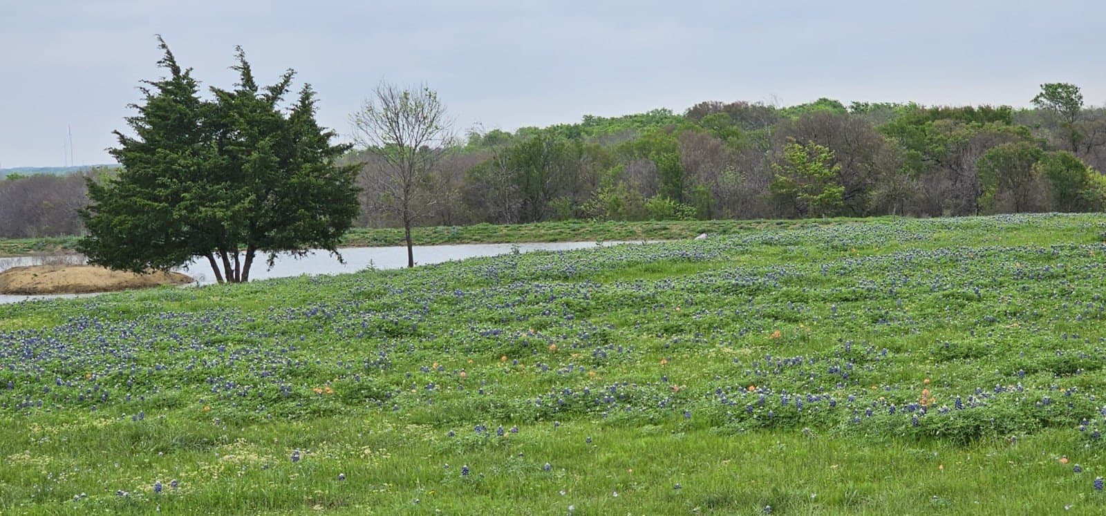 142.54 acres in Limestone County featured view