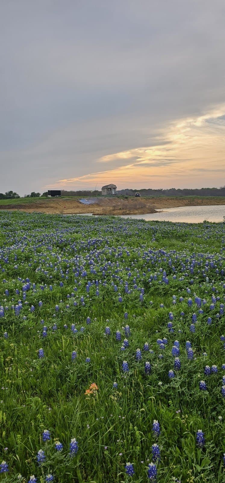 142.54 acres in Limestone County - photo 32