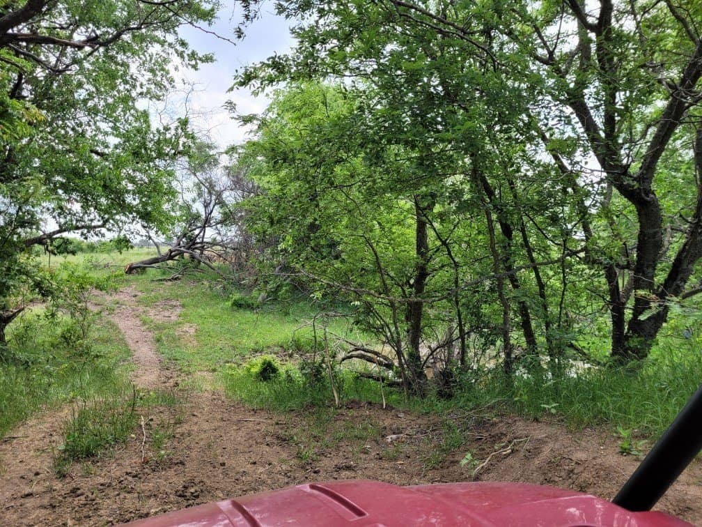 142.54 acres in Limestone County - photo 17