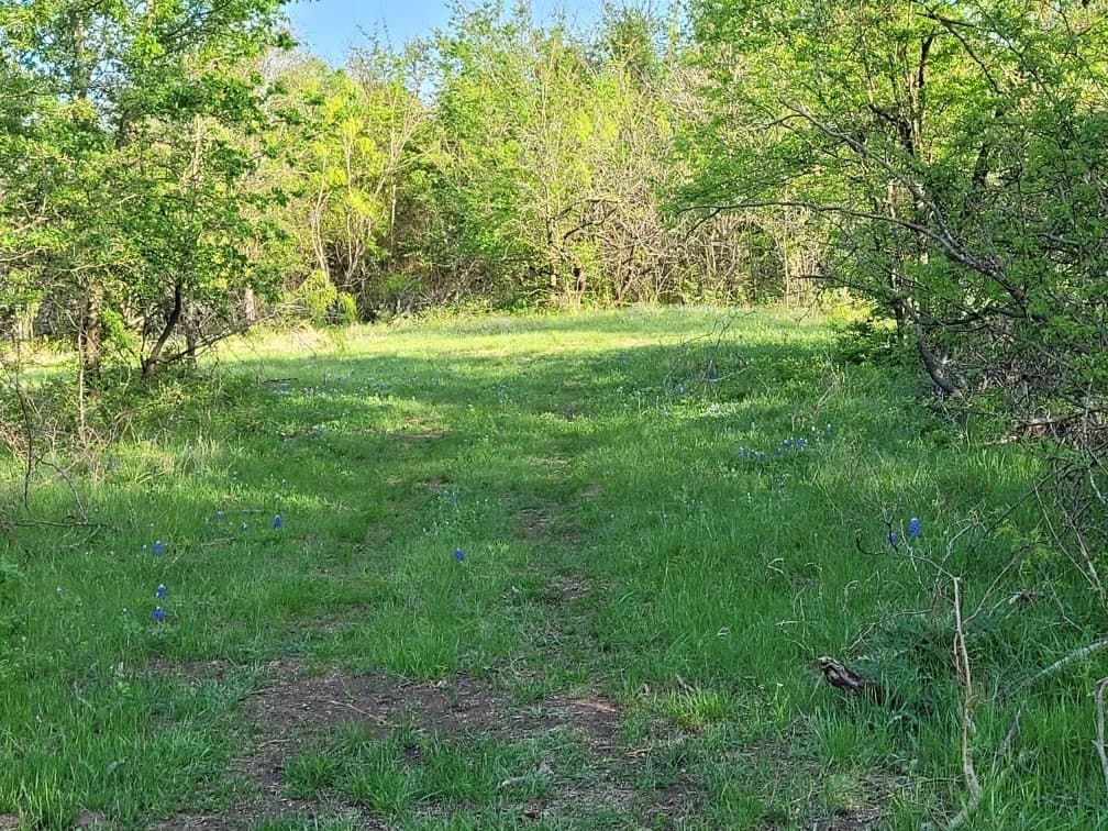 142.54 acres in Limestone County - photo 12