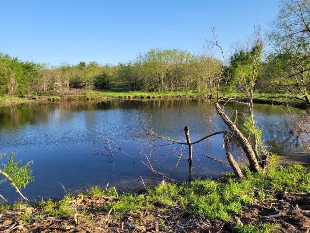 142.54 acres in Limestone County - photo 10
