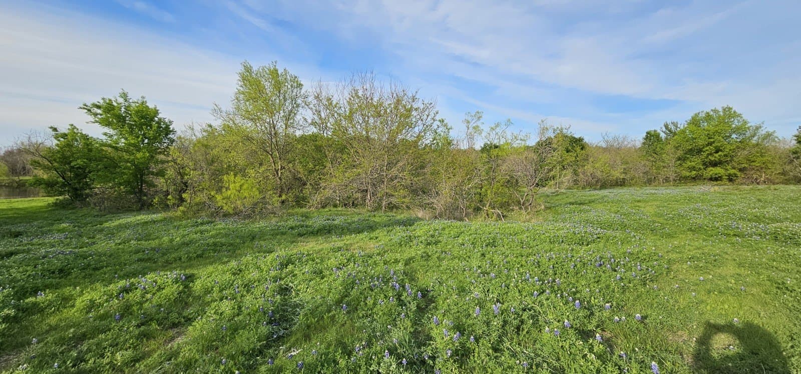 142.54 acres in Limestone County - photo 7