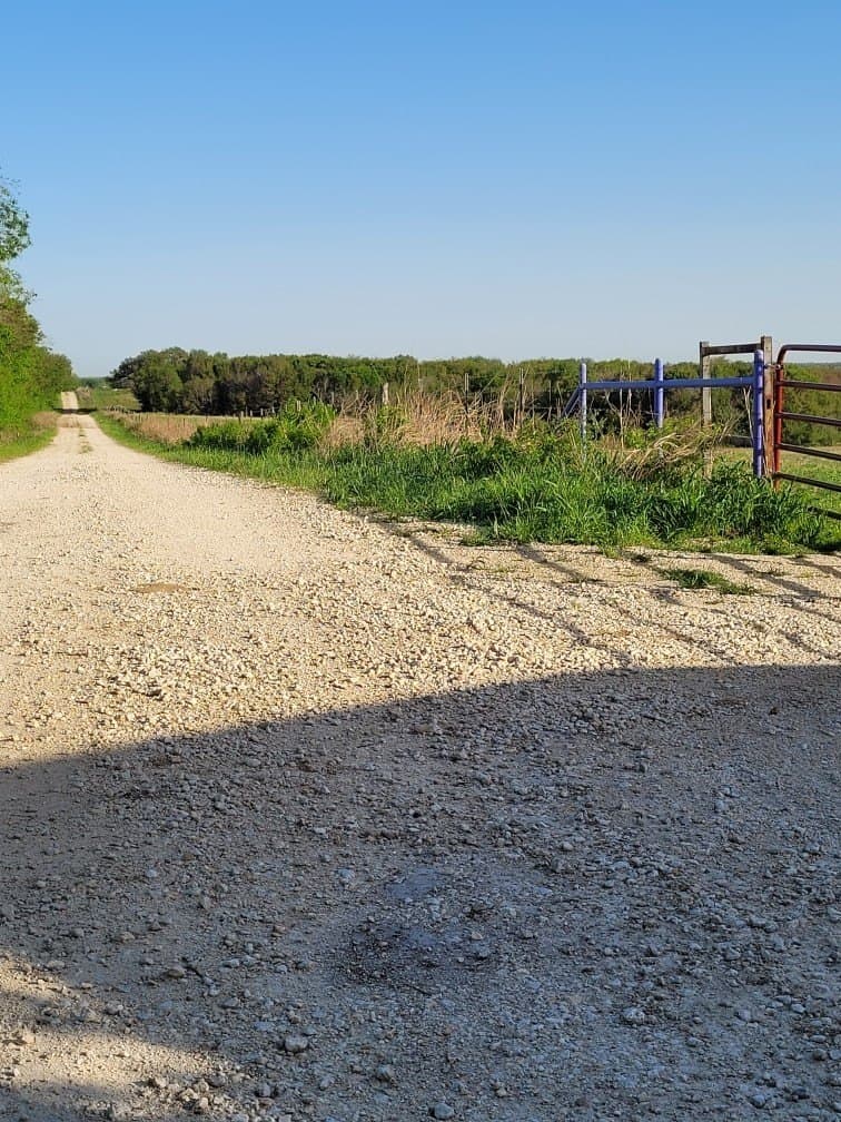 142.54 acres in Limestone County - photo 35