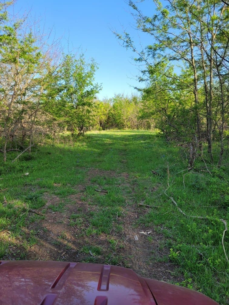 142.54 acres in Limestone County - photo 11