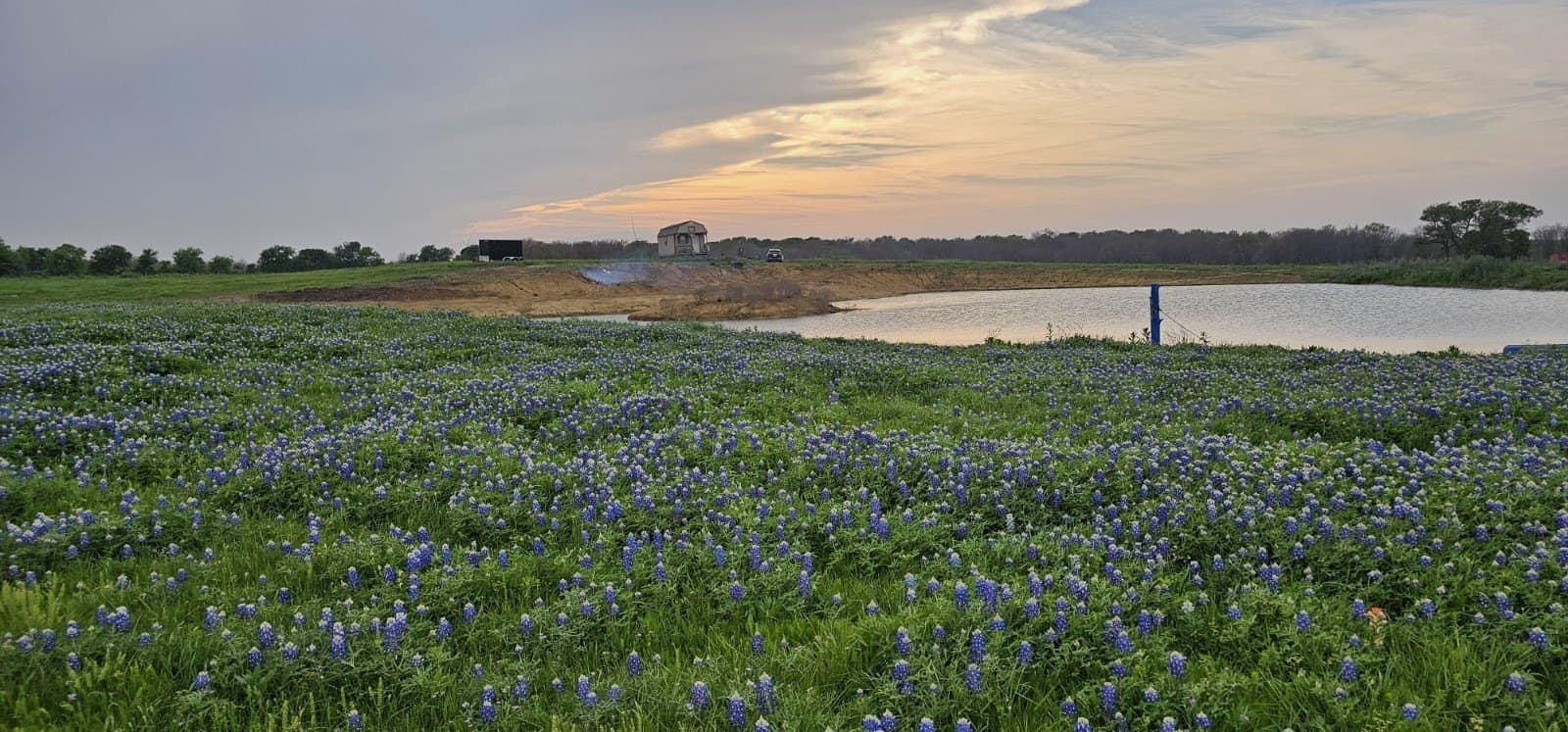 142.54 acres in Limestone County - photo 33