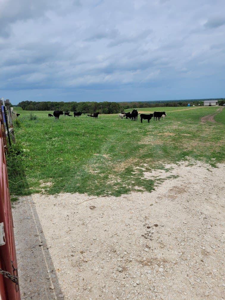 142.54 acres in Limestone County - photo 14