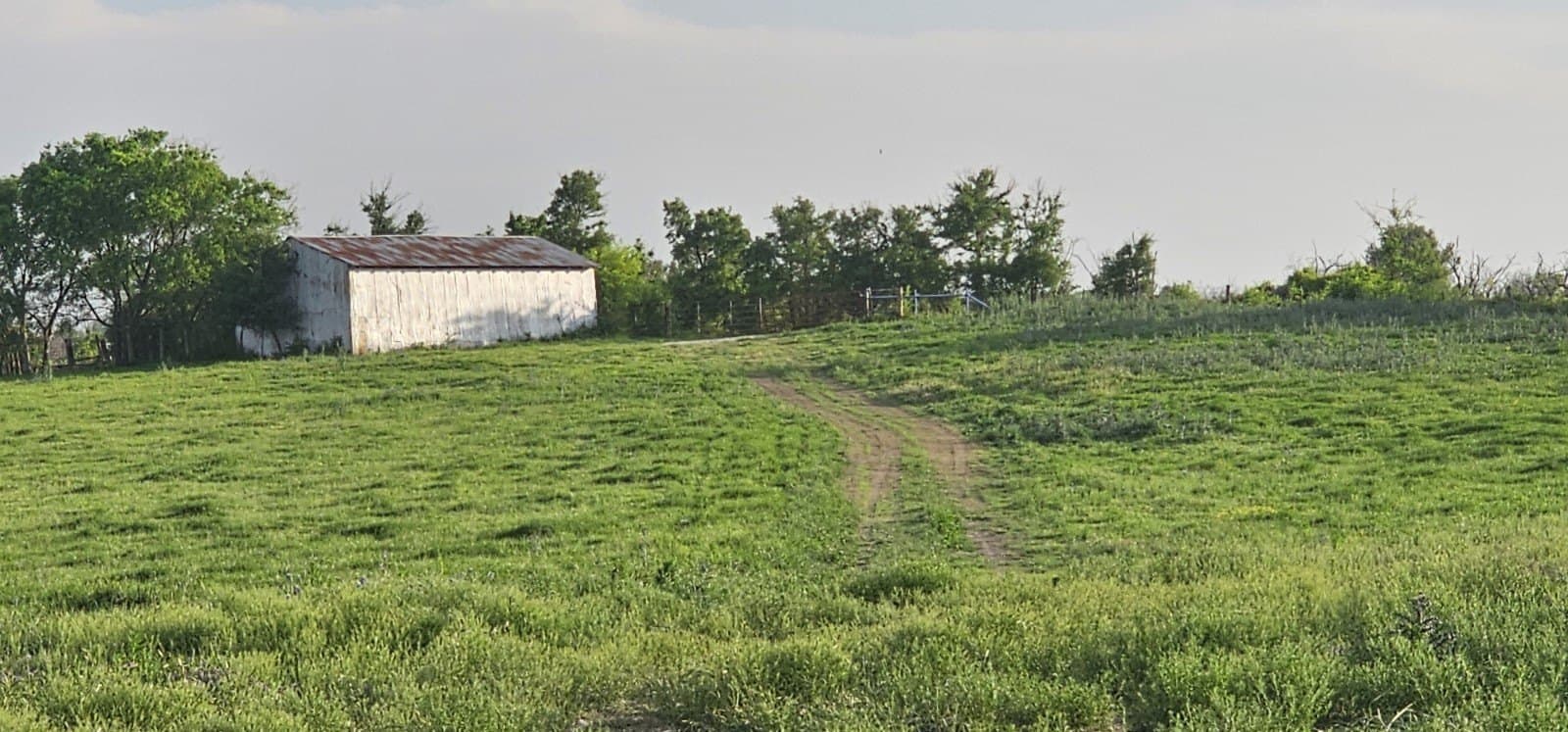 142.54 acres in Limestone County - photo 27