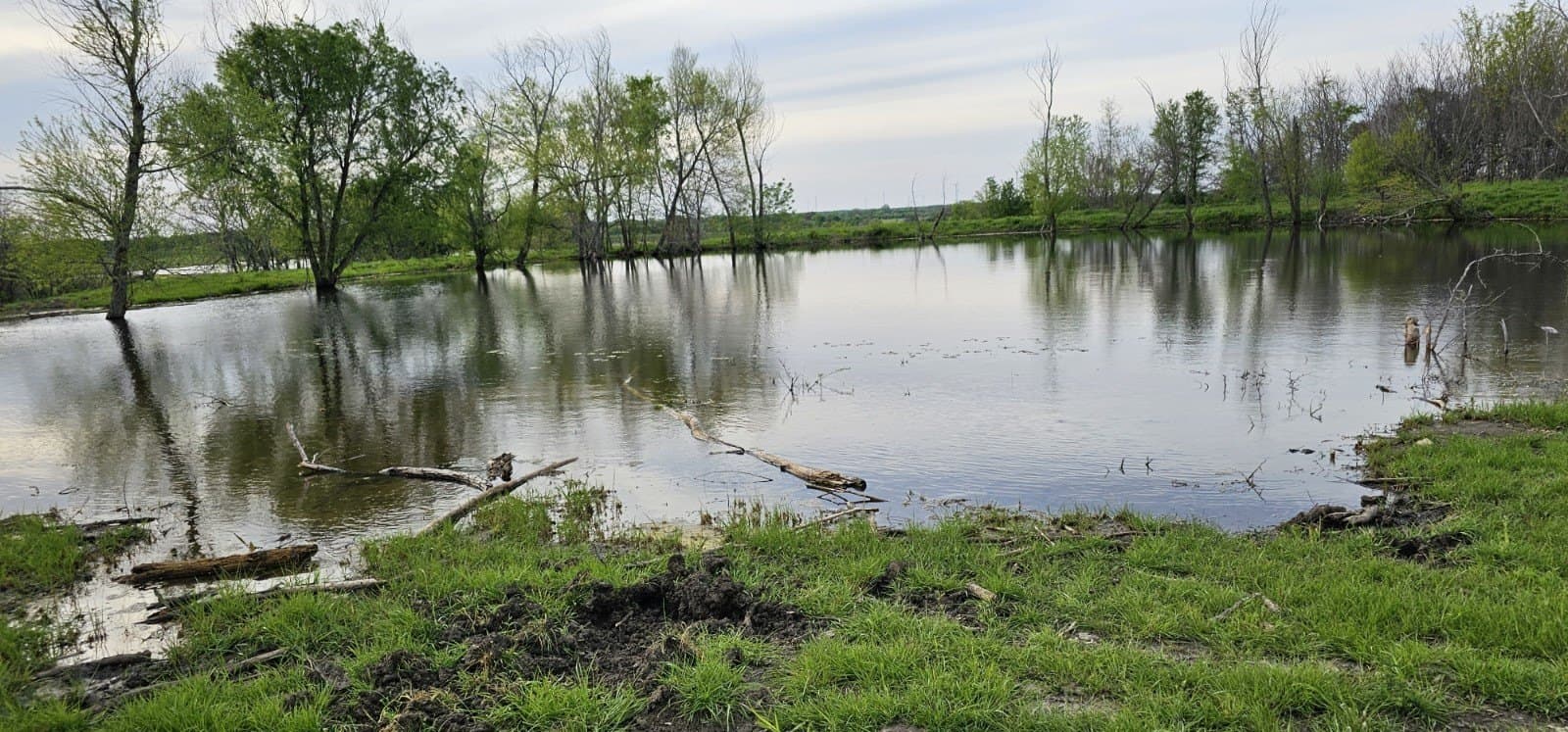 142.54 acres in Limestone County - photo 6