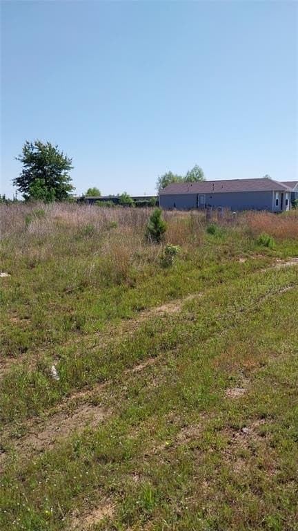 0.17 acres in Liberty County gallery image 3