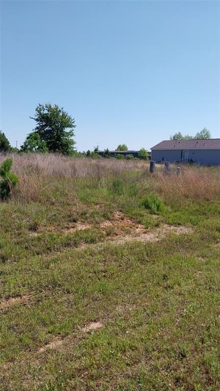 0.17 acres in Liberty County gallery image 2